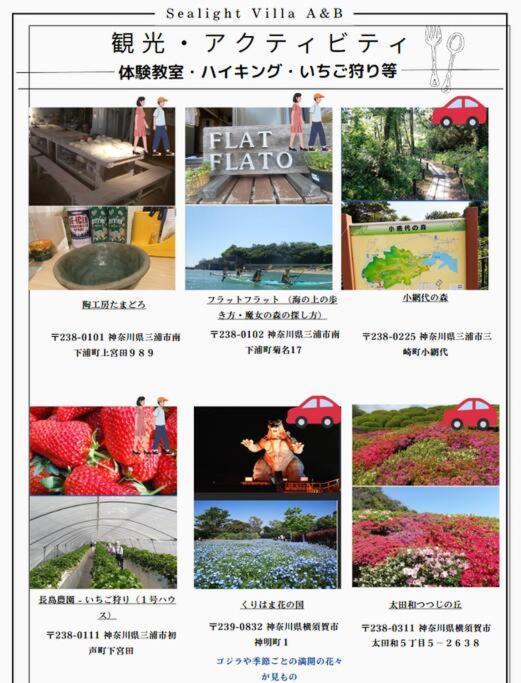 三浦海岸 Sealightvilla A棟 * Miura